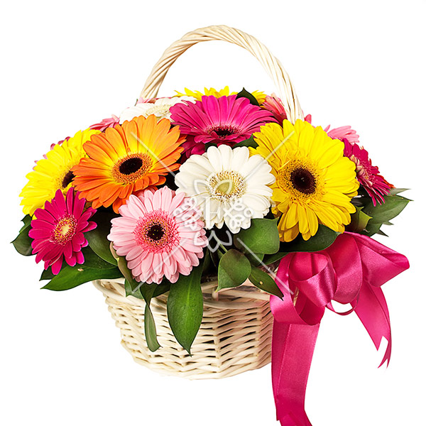 Радужный сон – корзина с разноцветными герберами Радужный сон - корзина с разноцветными герберами